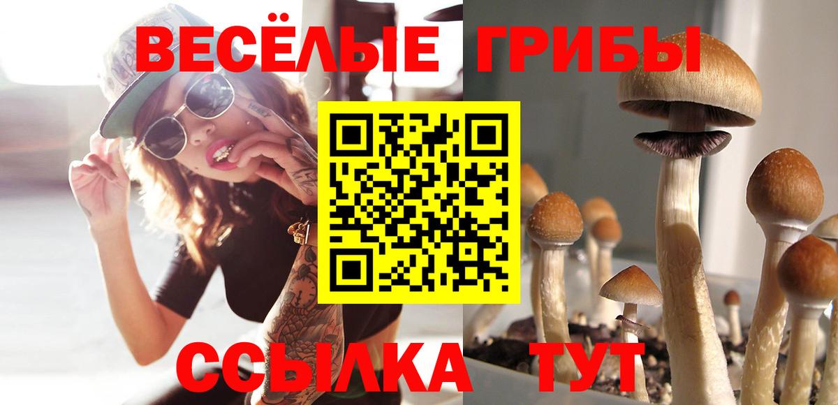 Псилоцибиновые грибы ЛСД  Вход с VPN  Кирово-Чепецк  Галлюциногенные грибы прущие грибы 